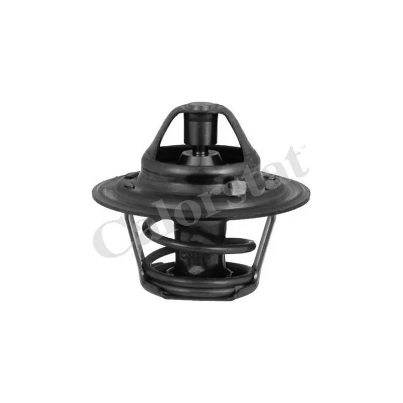 Thermostat d'eau CALORSTAT BY VERNET TH3319.88J