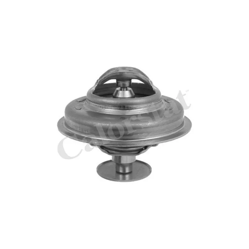 Thermostat d'eau CALORSTAT BY VERNET TH3327.81J