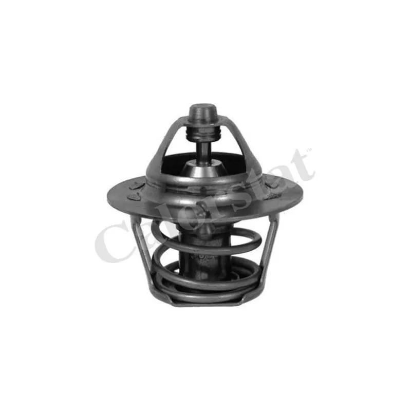 Thermostat d'eau CALORSTAT BY VERNET TH3328.85J