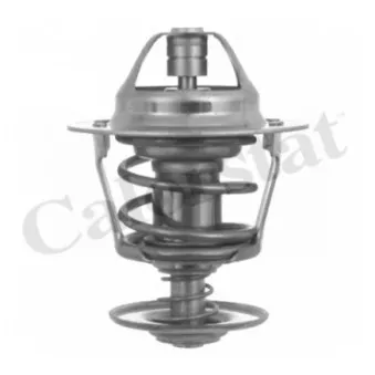 Thermostat d'eau CALORSTAT BY VERNET TH3348.83