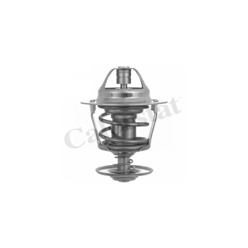 Thermostat d'eau CALORSTAT BY VERNET TH3348.83