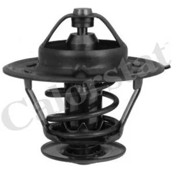 Thermostat d'eau CALORSTAT BY VERNET TH3356.83