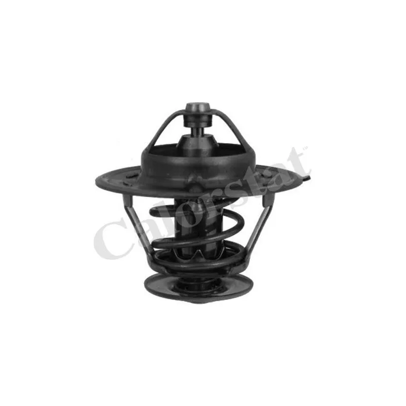 Thermostat d'eau CALORSTAT BY VERNET TH3356.83