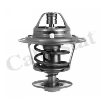 Thermostat d'eau CALORSTAT BY VERNET TH3357.76J