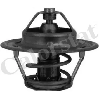 Thermostat d'eau CALORSTAT BY VERNET TH4046.86J