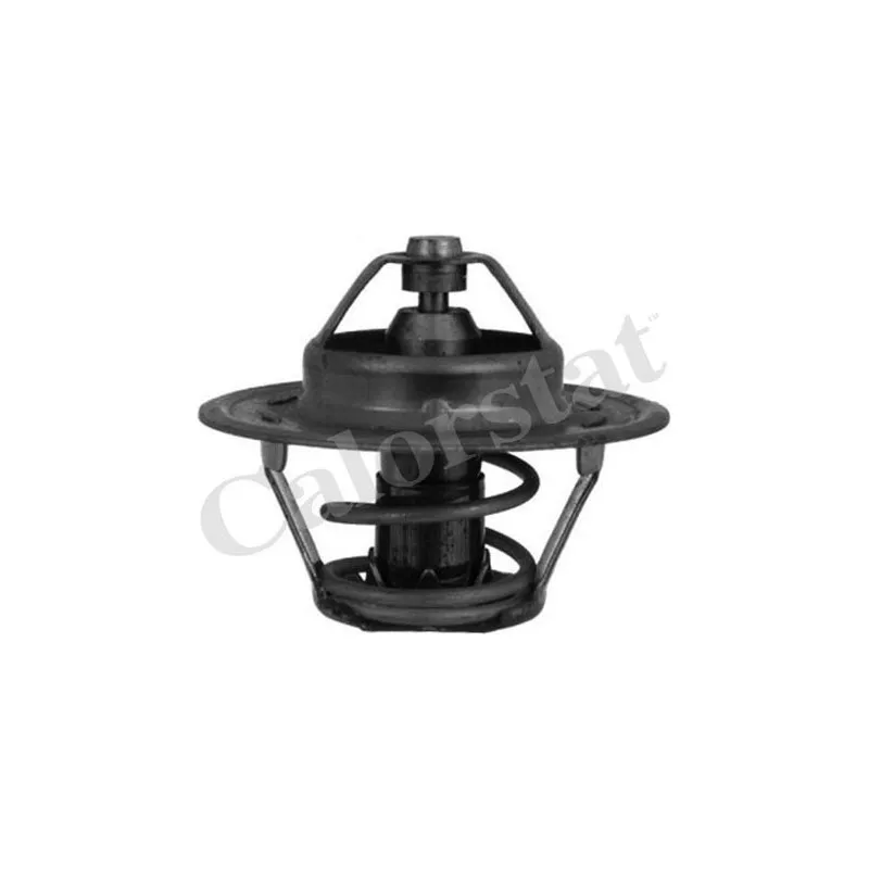 Thermostat d'eau CALORSTAT BY VERNET TH4046.86J