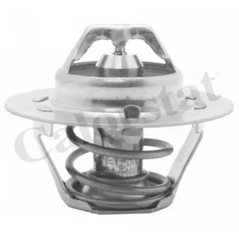 Thermostat d'eau CALORSTAT BY VERNET TH4168.78J