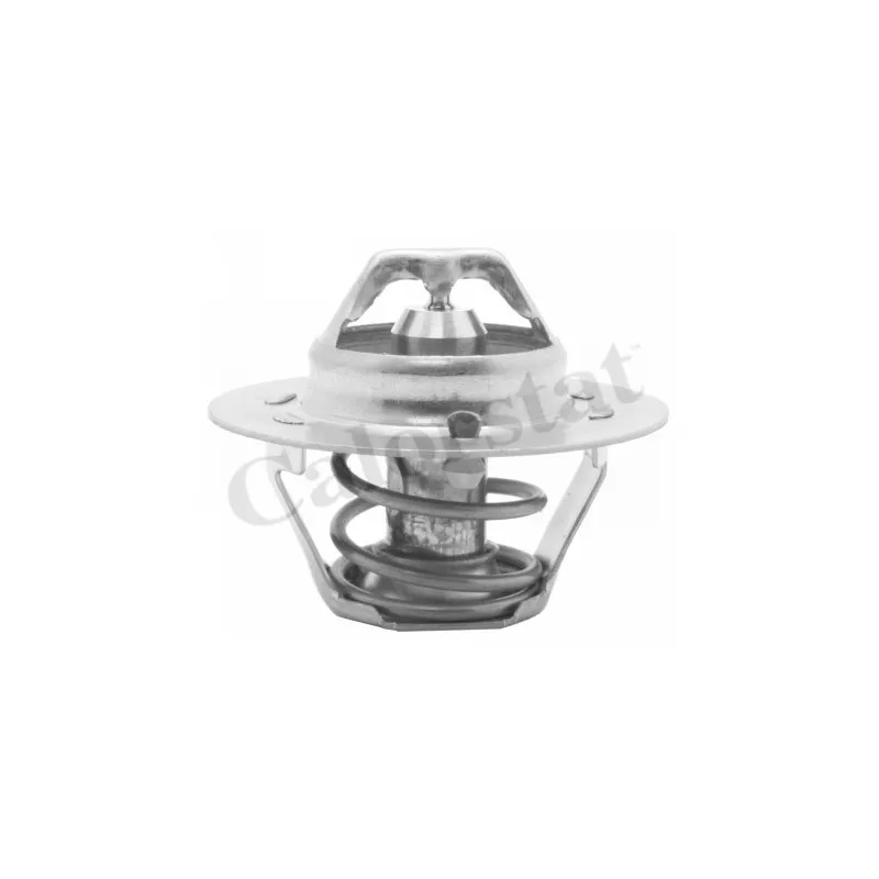 Thermostat d'eau CALORSTAT BY VERNET TH4168.78J
