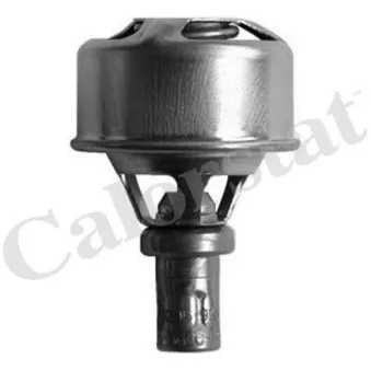 Thermostat d'eau CALORSTAT BY VERNET TH4495.89