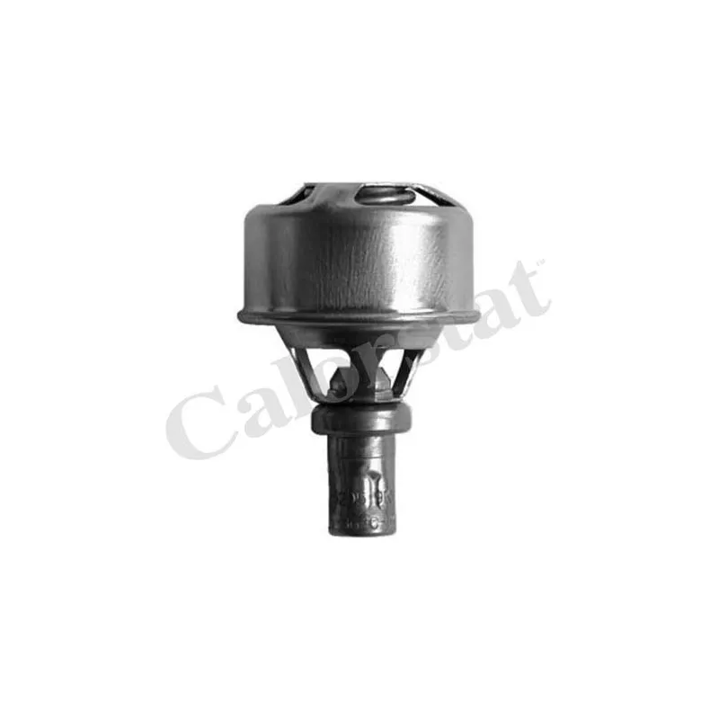 Thermostat d'eau CALORSTAT BY VERNET TH4495.89