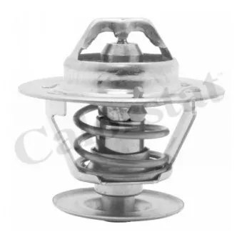 Thermostat d'eau CALORSTAT BY VERNET TH4561.87J