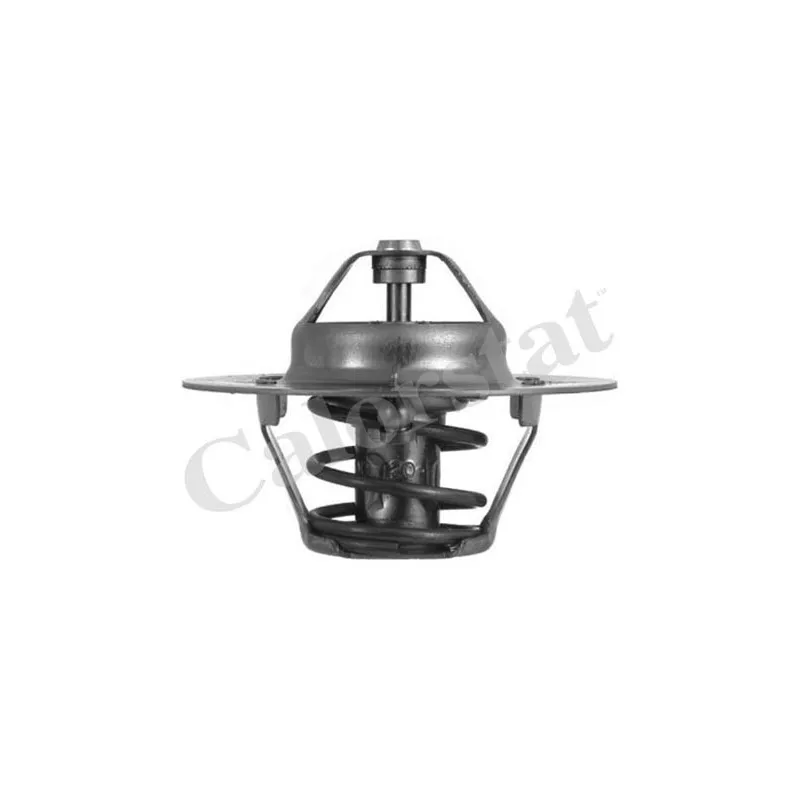Thermostat d'eau CALORSTAT BY VERNET TH4608.80J