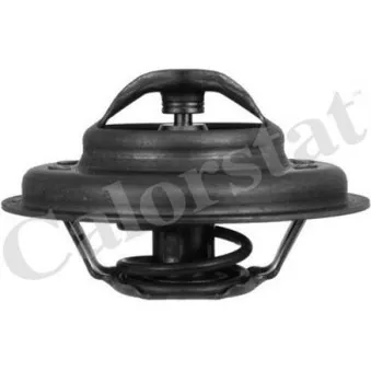 Thermostat d'eau CALORSTAT BY VERNET TH4640.85J