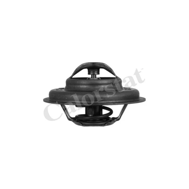 Thermostat d'eau CALORSTAT BY VERNET TH4640.85J