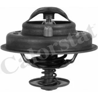 Thermostat d'eau CALORSTAT BY VERNET TH4780.78J