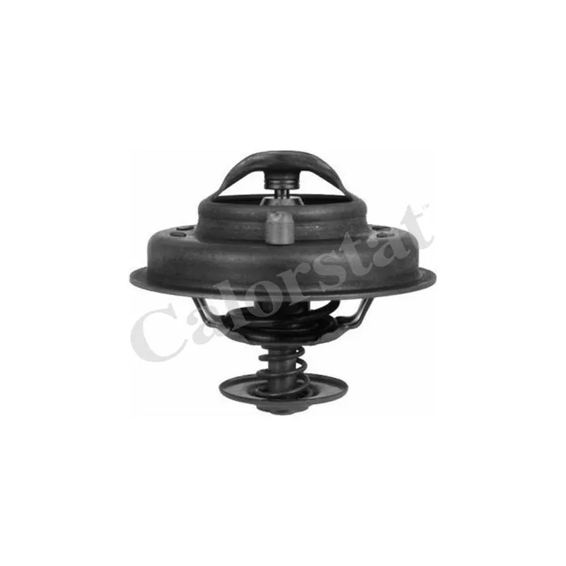 Thermostat d'eau CALORSTAT BY VERNET TH4780.78J