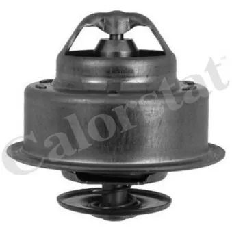 Thermostat d'eau CALORSTAT BY VERNET TH4856.92J