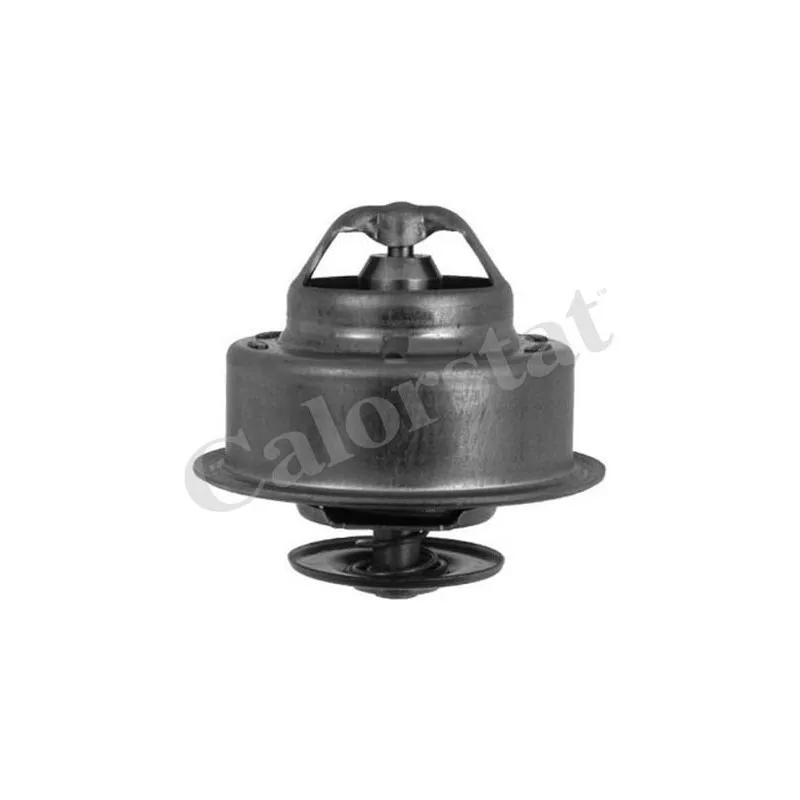 Thermostat d'eau CALORSTAT BY VERNET TH4856.92J