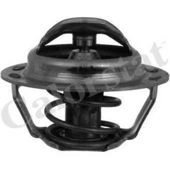 Thermostat d'eau CALORSTAT BY VERNET TH4885.89J