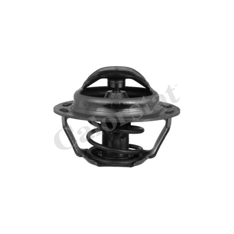 Thermostat d'eau CALORSTAT BY VERNET TH4885.89J