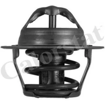 Thermostat d'eau CALORSTAT BY VERNET TH4898.82J