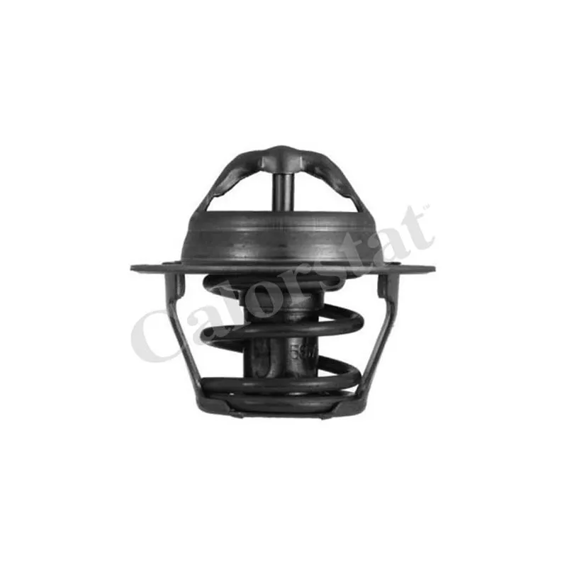 Thermostat d'eau CALORSTAT BY VERNET TH4898.82J