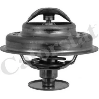Thermostat d'eau CALORSTAT BY VERNET TH4945.89J