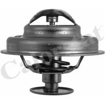 Thermostat d'eau CALORSTAT BY VERNET TH4947.81J