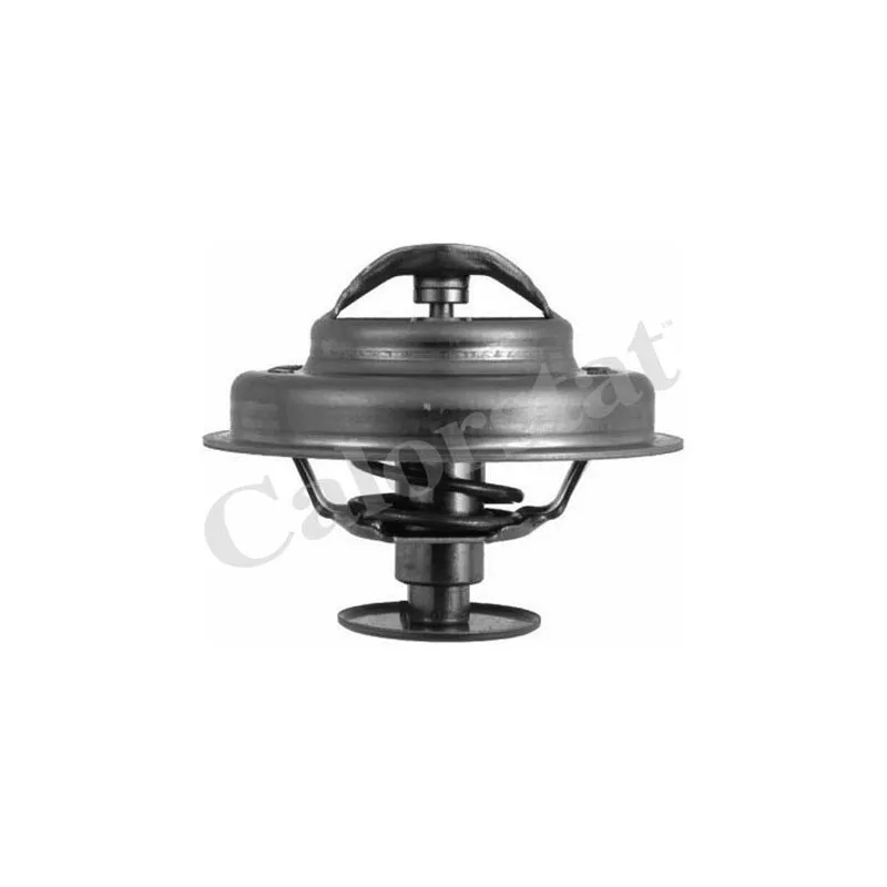 Thermostat d'eau CALORSTAT BY VERNET TH4947.81J