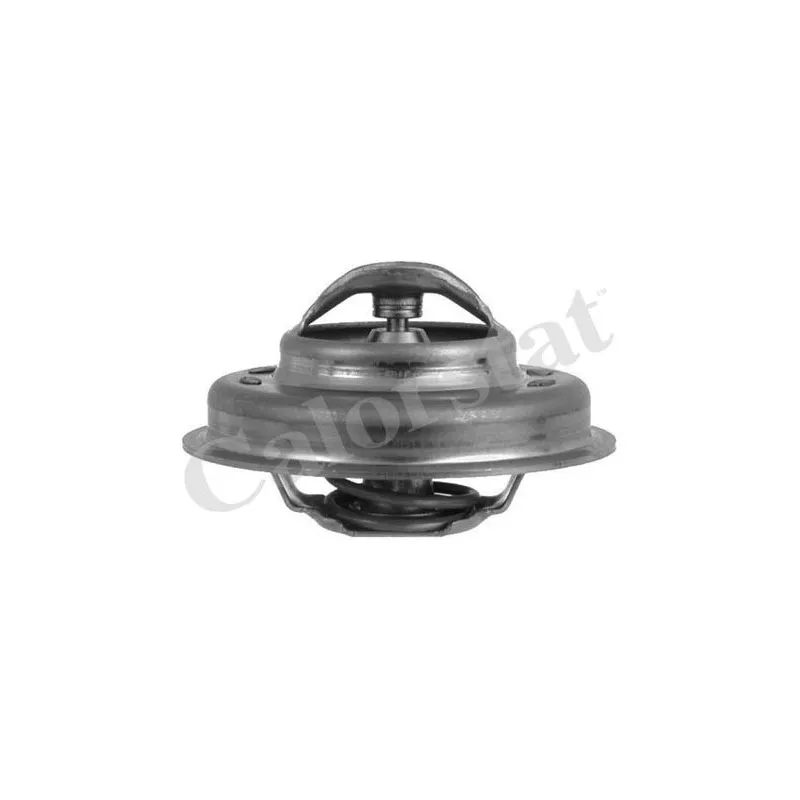 Thermostat d'eau CALORSTAT BY VERNET TH4949.89J