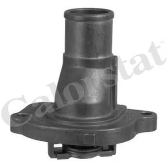 Thermostat d'eau CALORSTAT BY VERNET TH5069.87J