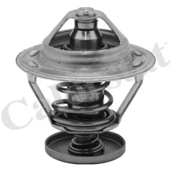 Thermostat d'eau CALORSTAT BY VERNET TH5079.76J