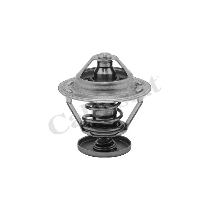 Thermostat d'eau CALORSTAT BY VERNET TH5079.82J
