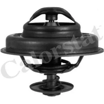 Thermostat d'eau CALORSTAT BY VERNET TH5083.83J