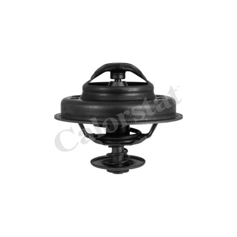 Thermostat d'eau CALORSTAT BY VERNET TH5083.83J