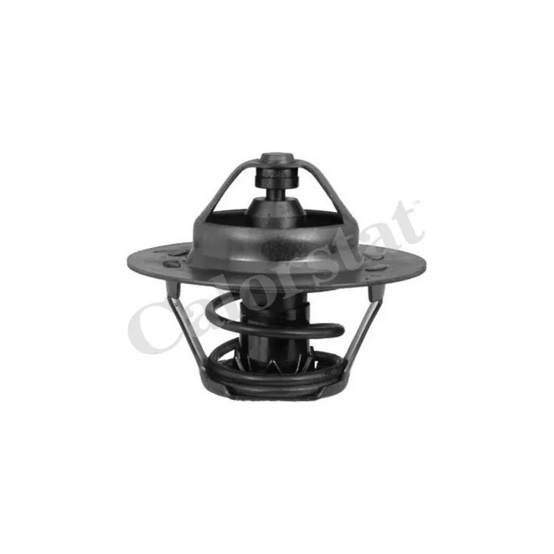 Thermostat d'eau CALORSTAT BY VERNET TH5108.89J