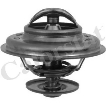 Thermostat d'eau CALORSTAT BY VERNET TH5111.92J