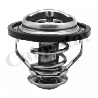 Thermostat d'eau CALORSTAT BY VERNET TH5130.83J