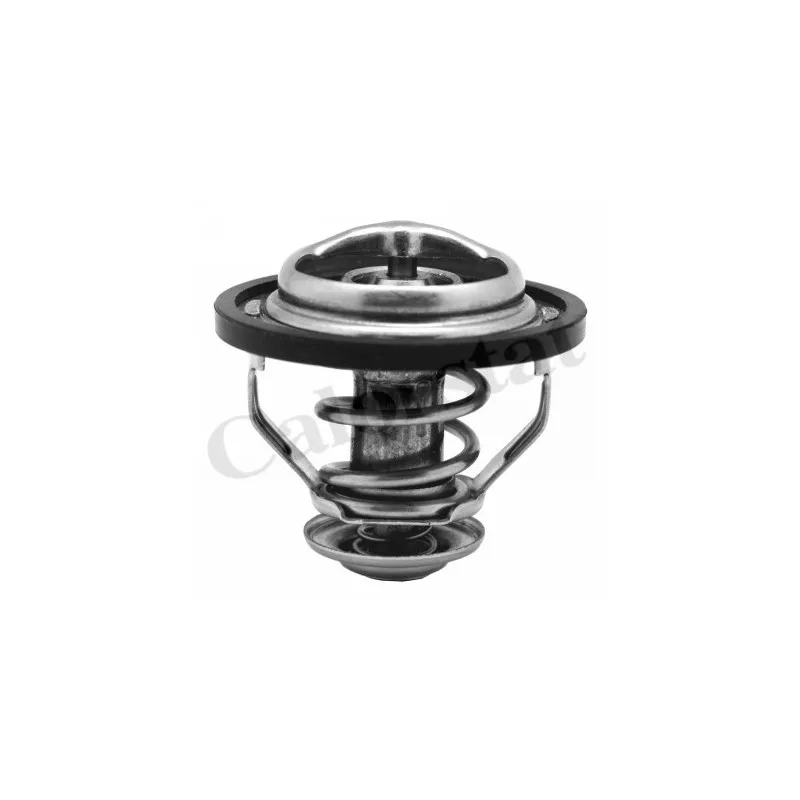Thermostat d'eau CALORSTAT BY VERNET TH5130.83J