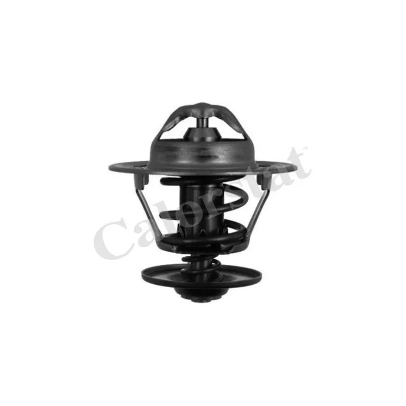 Thermostat d'eau CALORSTAT BY VERNET TH5151.84J