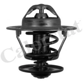 Thermostat d'eau CALORSTAT BY VERNET TH5151.87J