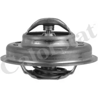Thermostat d'eau CALORSTAT BY VERNET TH5229.83J