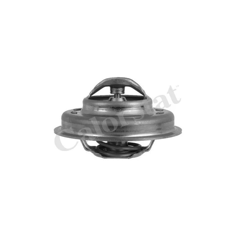 Thermostat d'eau CALORSTAT BY VERNET TH5229.83J