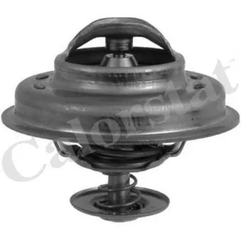 Thermostat d'eau CALORSTAT BY VERNET TH5231.83J