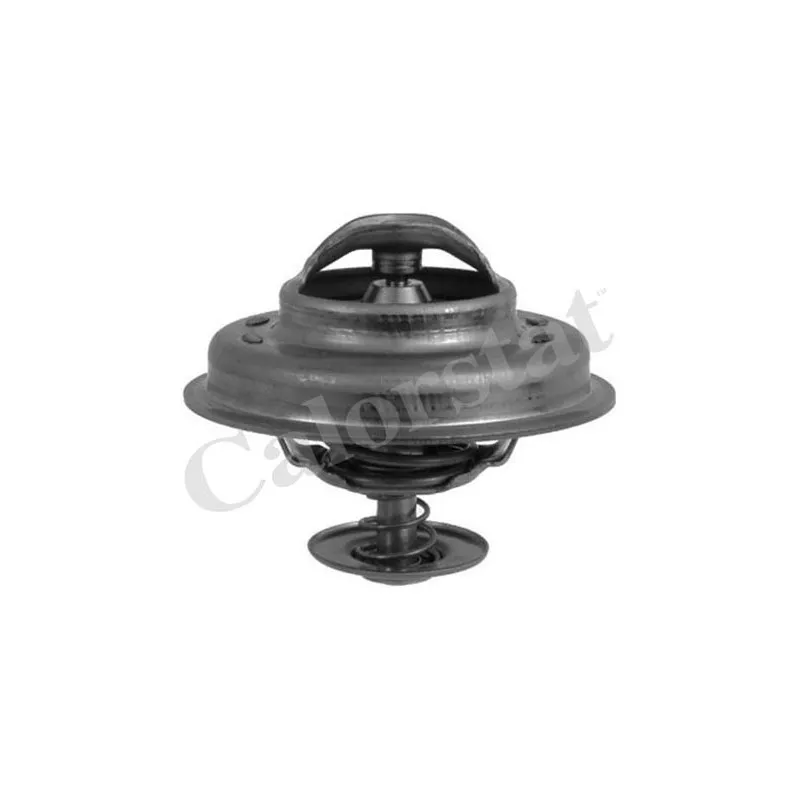 Thermostat d'eau CALORSTAT BY VERNET TH5231.83J
