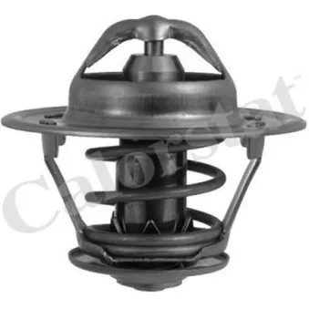 Thermostat d'eau CALORSTAT BY VERNET TH5241.83