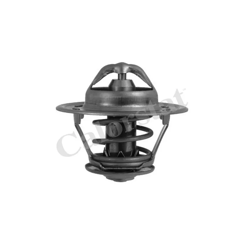 Thermostat d'eau CALORSTAT BY VERNET TH5241.83
