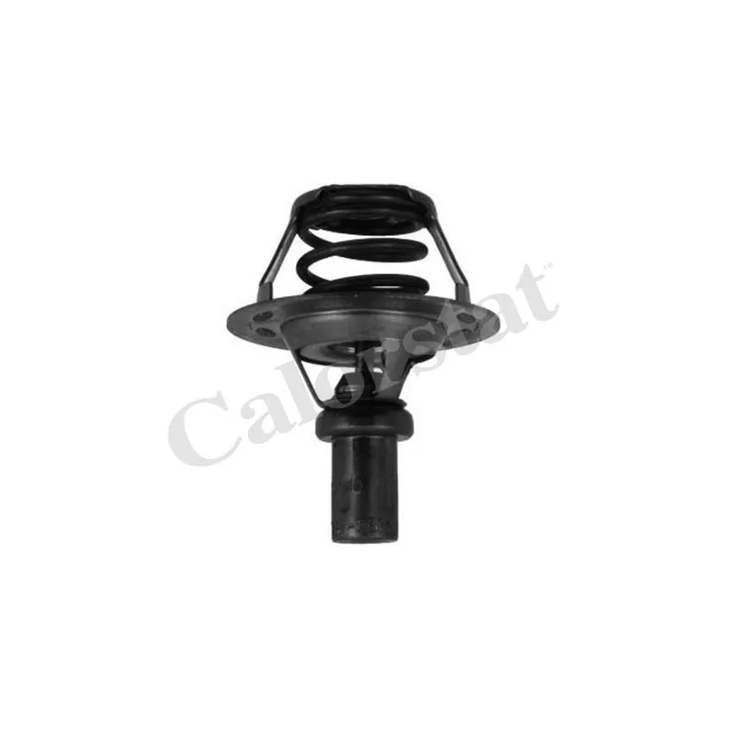 Thermostat d'eau CALORSTAT BY VERNET TH5284.86J
