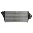 Intercooler, échangeur THERMOTEC DA1007TT - Visuel 1