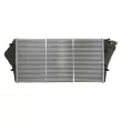 Intercooler, échangeur THERMOTEC DA1007TT - Visuel 2